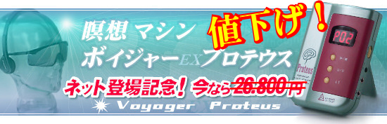 ボイジャーエクセルプロテウスの値段